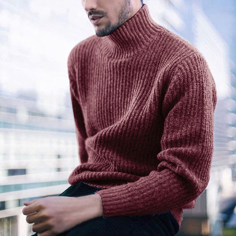 Herren Strickpullover Hochkragen Feines Rippmuster Warm