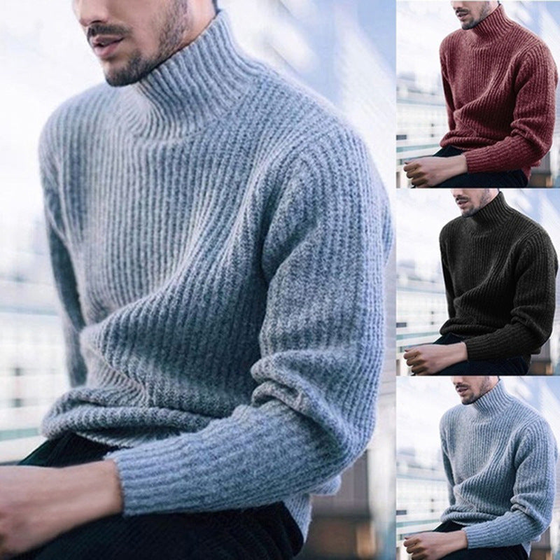 Herren Strickpullover Hochkragen Feines Rippmuster Warm