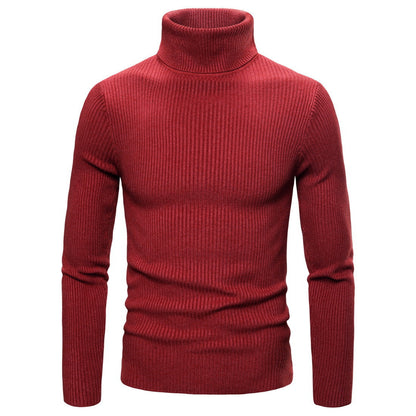 Damen Rollkragenpullover Feinripp Strick Beige