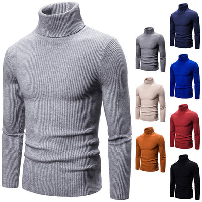 Damen Rollkragenpullover Feinripp Strick Beige