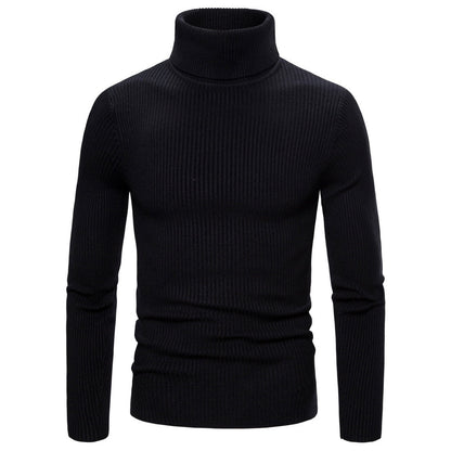 Damen Rollkragenpullover Feinripp Strick Beige