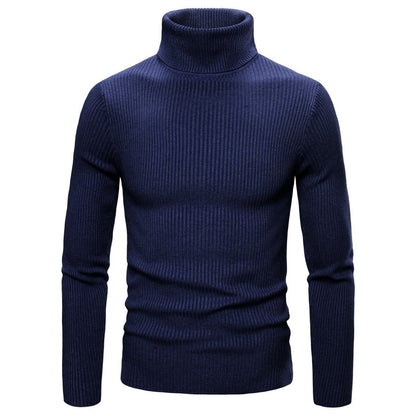 Damen Rollkragenpullover Feinripp Strick Beige
