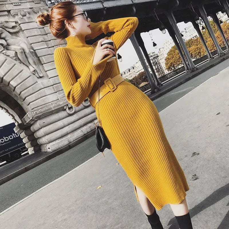 Damen Strickkleid mit Gürtel und hohem Kragen