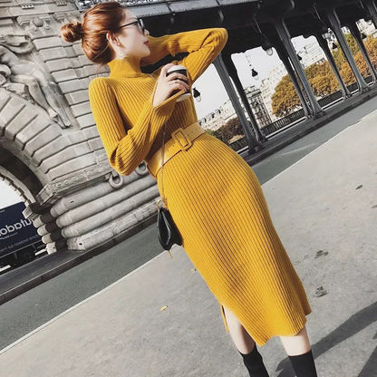 Damen Strickkleid mit Gürtel und hohem Kragen