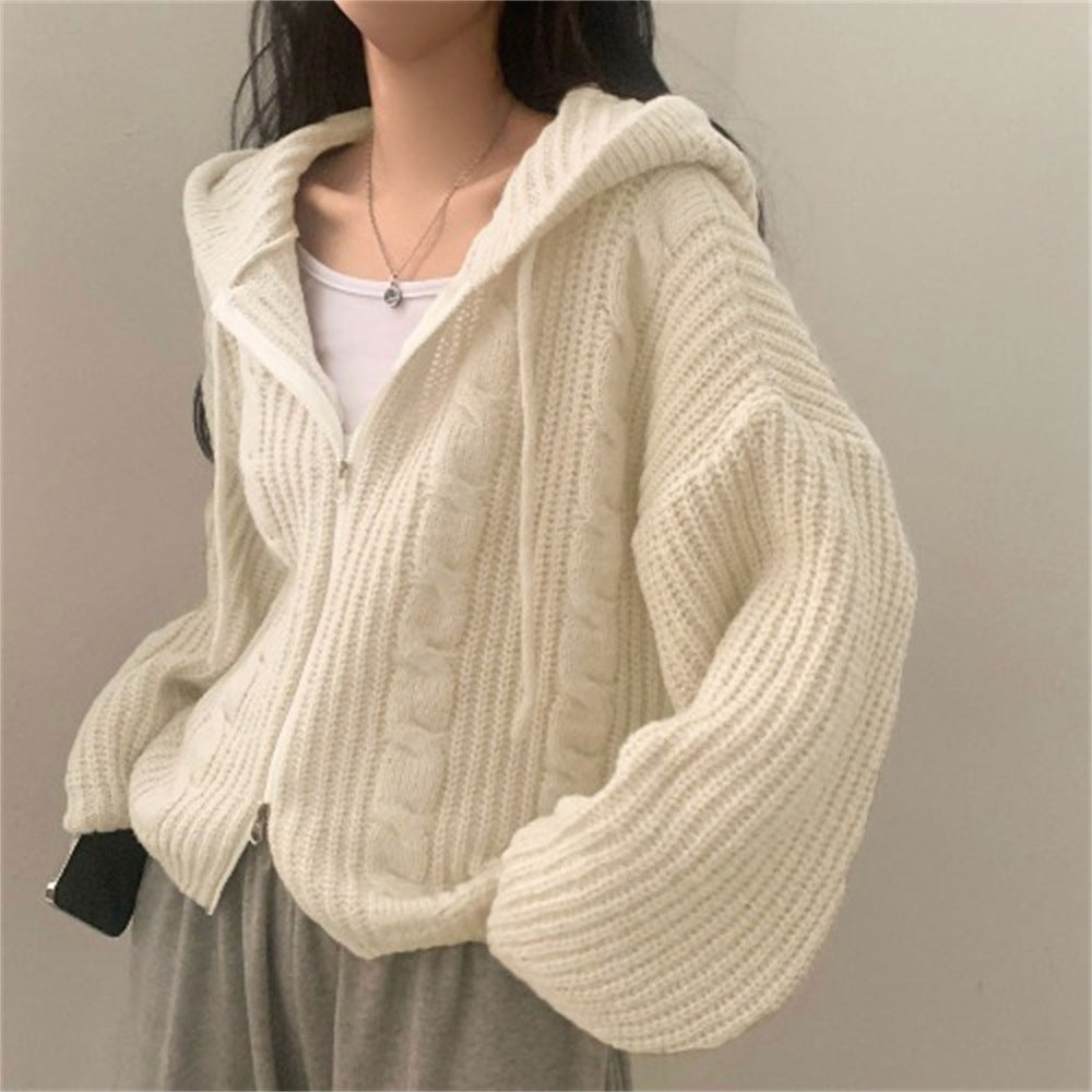 Damen Grobstrickjacke Kapuze Lässig Eveloria