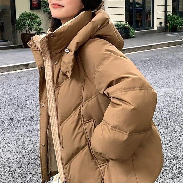 Damen Steppjacke Hochkragen Eveloria