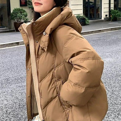 Damen Steppjacke Hochkragen Eveloria