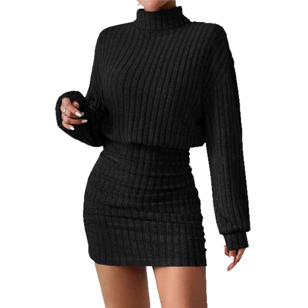 Damen Strickkleid Rollkragen Ärmel Eveloria