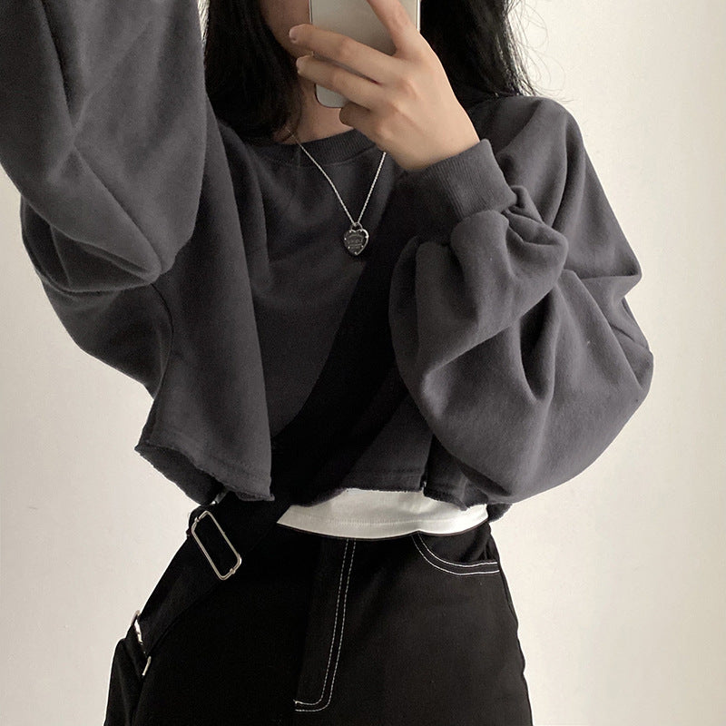 Damen Cropped Sweatshirt Eveloria Kapuzenpullover Baumwolle Grau