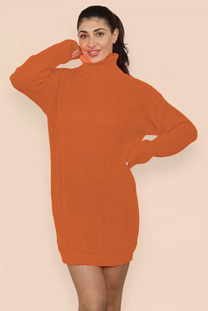 Damen Strickkleid Hochkragen Lässig Eveloria
