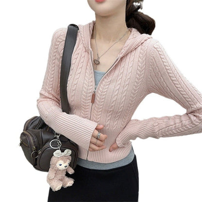 Damen Kapuzenstrickjacke Zopfmuster Asymmetrisch Eveloria