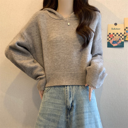 Damen Hoodie Lässige Passform Strukturiertes Material Grau Eveloria