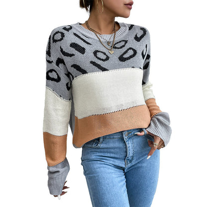 Damen Strickpullover Lässig Farbblock Animalmuster Eveloria