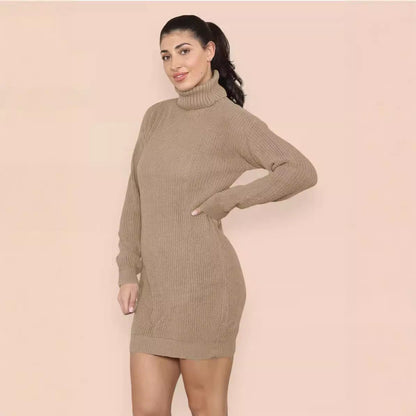 Damen Strickkleid Hochkragen Lässig Eveloria