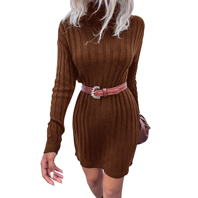 Damen Oversized Strickkleid Hochkragen Feines Design
