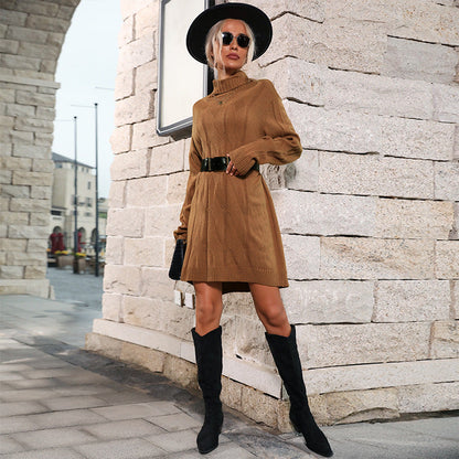Damen Strickkleid Hochgeschlossener Kragen Zopfmuster Eveloria