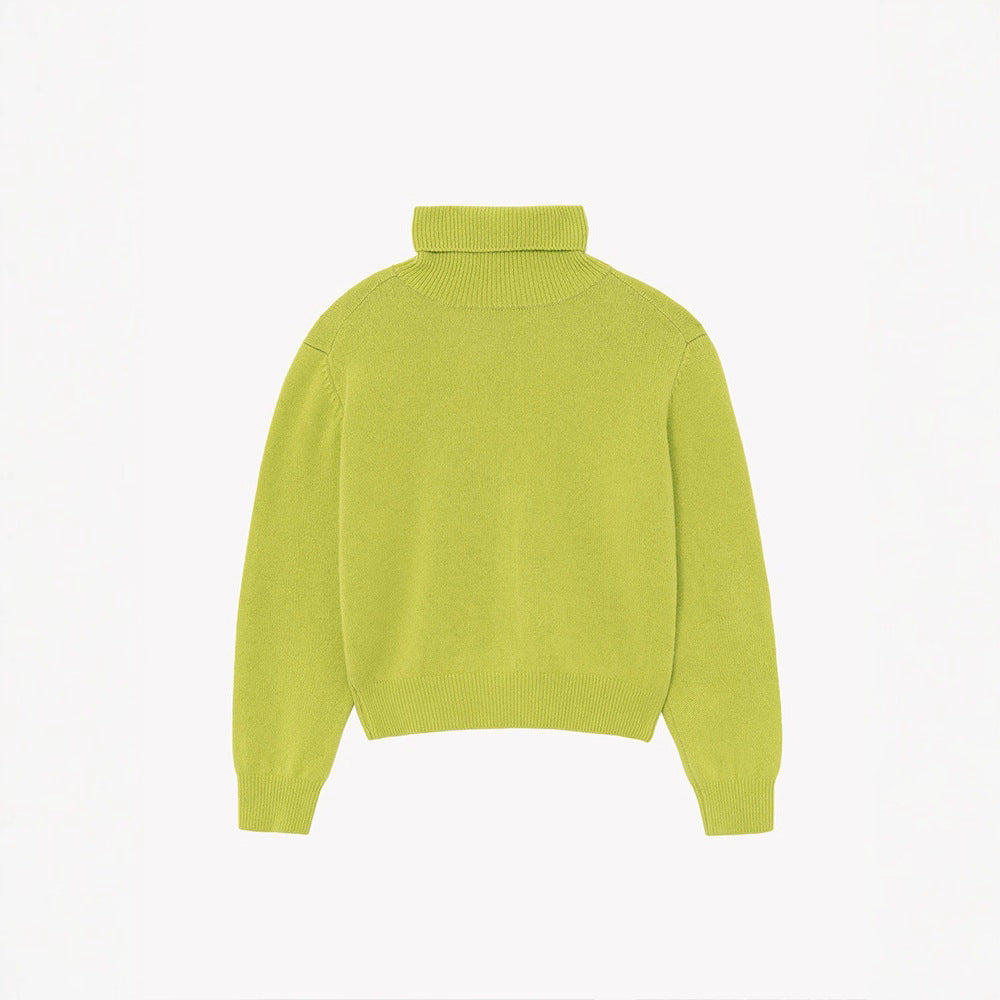 Damen Rollkragenpullover aus Strick Eveloria Kuschelig