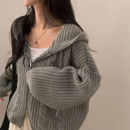 Damen Grobstrickjacke Kapuze Lässig Eveloria
