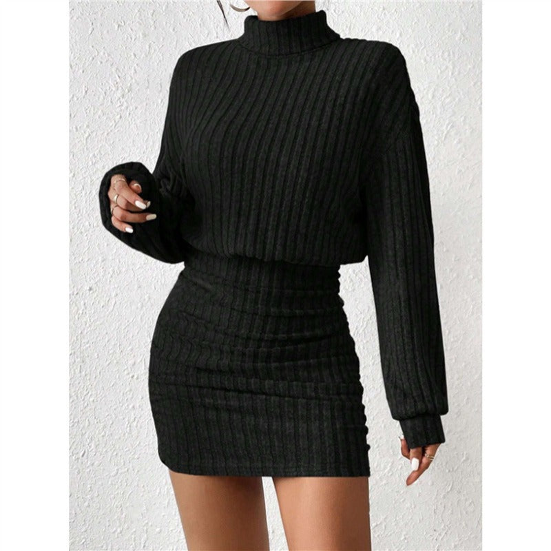 Damen Strickkleid Rollkragen Ärmel Eveloria
