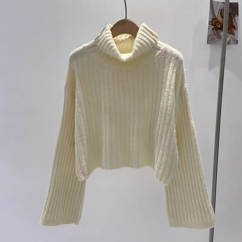 Damen Rollkragenpullover Rippstruktur Weitschnitt Eveloria