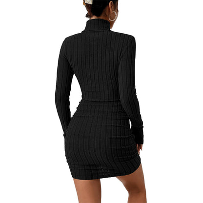 Damen Strickminikleid Stehkragen Langarm Eveloria