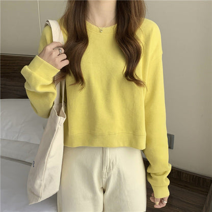 Damen Cropped Pullover Weicher Baumwollmix Rundhalsausschnitt Beige