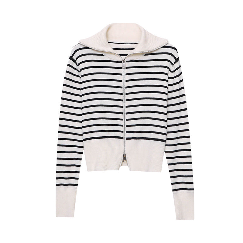 Damen Pullover Gestreift Hochgeschlossener Kragen Eveloria
