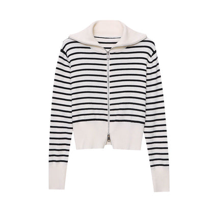 Damen Pullover Gestreift Hochgeschlossener Kragen Eveloria