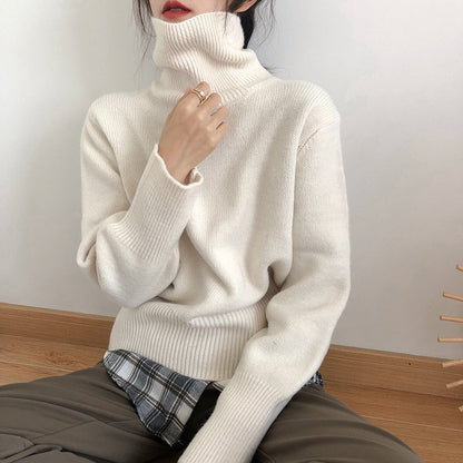 Damen Rollkragenpullover Weiches Strickmaterial Eveloria