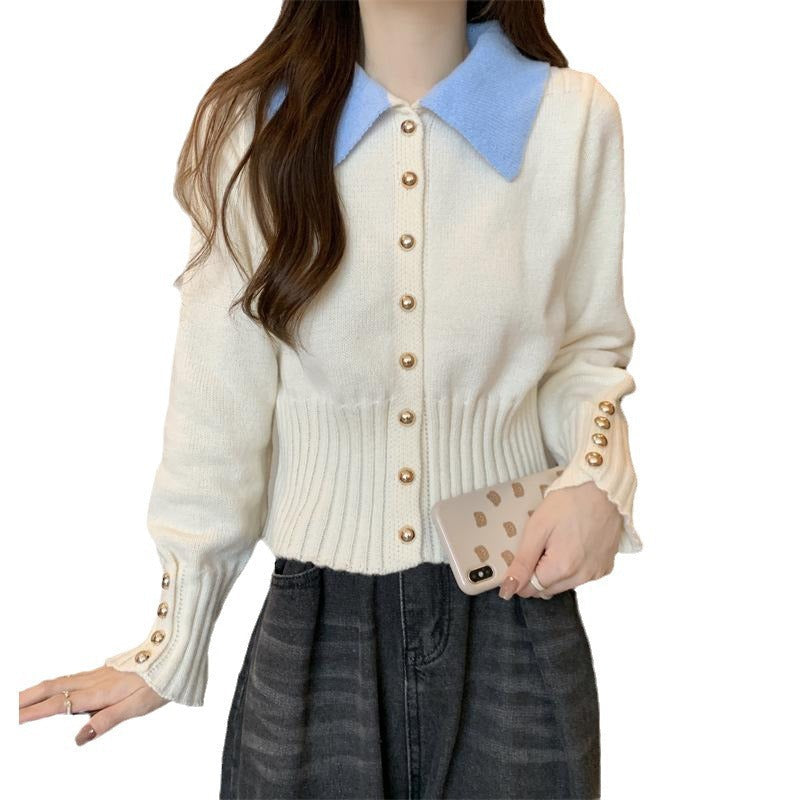 Damen Strickpullover mit Kragen und Knöpfen Eveloria