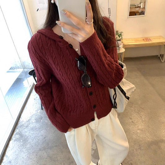Damen Strickjacke mit Kapuze und Zopfmuster - Eveloria