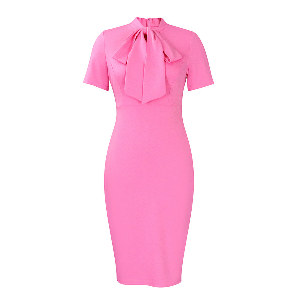Damen Kleid Figurbetont Hochgeschlossener Kragen Eveloria