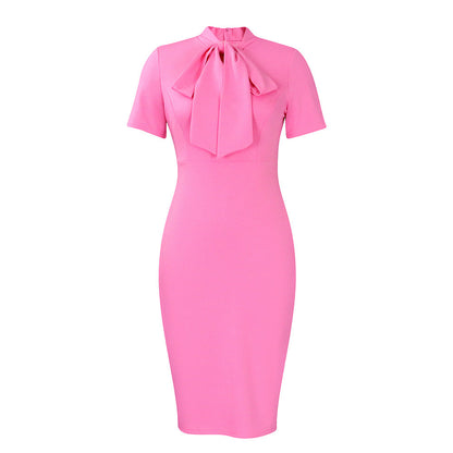 Damen Kleid Figurbetont Hochgeschlossener Kragen Eveloria
