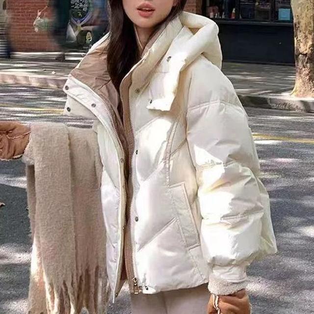 Damen Steppjacke Hochkragen Eveloria