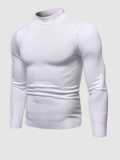 Herren Rollkragenpullover Slim-Fit aus Merino-Wolle Beige